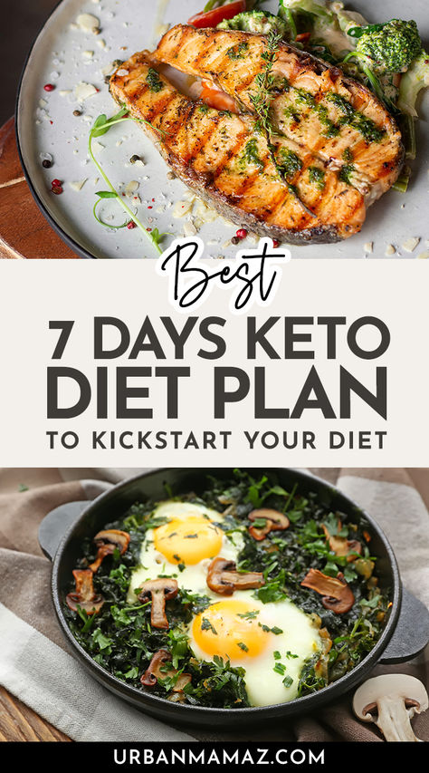 Keto Diet Plan Meals Throughout The Day, Best Keto Meals, Low Calorie Soup, Starting Keto Diet, Low Carb Meal Plan, Tasty Snacks, Low Sugar Diet, Snacks And Desserts, Easy Diets