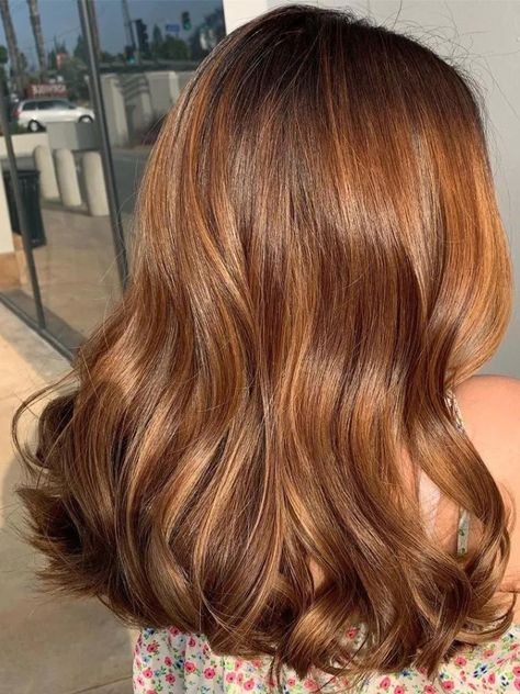 Caramel Chestnut Hair Color, Identify Crisis, Brown Hair Colours, Hair Color Brown Chestnut, Copper Brown Hair, Light Auburn Hair, Chestnut Brown Hair, Brunette Aesthetic, Chestnut Hair