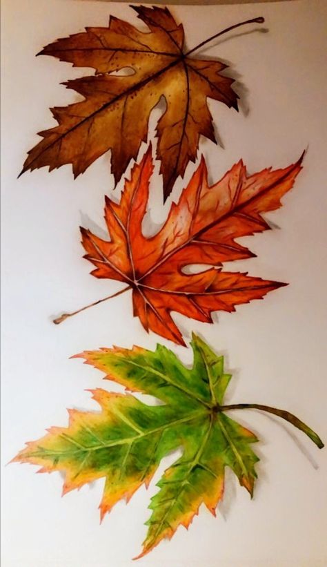 Fall Leaves Colored Pencil, Leaves Drawing Colored Pencil, Paintings Of Fall Leaves, Colourful Leaves Painting, Pencil Colour Leaf Drawing, Fall Color Pencil Drawings, Fall Trees Drawing, Drawing Ideas With Pencil Colours, Autumn Pictures Art