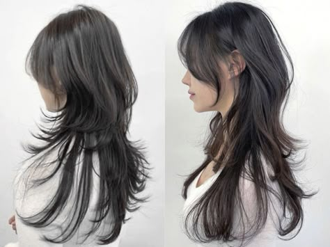 Wolfcut Hair Long Reference, Jelly Fish Haircut Long Korean, Jellyfish Haircut Long Straight, Hush Cut Back View, Jelly Fish Cut Long, Hush Cut Long Hair Straight, Long Hush Cut Straight Hair, Long Hair Jellyfish Haircut, Jellyfish Wolf Cut Hair