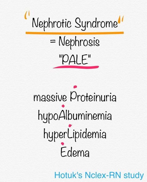 Nephrotic Syndrome #mnemonic #nursingschool #nursingresources - Image Credits: Yoz Lpn Notes, Nursing Facts, Clinical Pharmacy, Genitourinary System, Med Surge, Renal System, Nursing Study Tips, Nephrotic Syndrome, Medical Mnemonics