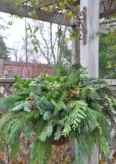 s 13 winter planter ideas for when you re missing your garden, gardening, A hanging basket full of cold weather plants Cold Weather Plants, Winter Hanging Baskets, Winter Planter Ideas, Christmas Hanging Baskets, Winter Pots, Mason Jar Herb Garden, Porch Pots, Winter Planters, Yellow Brick Home