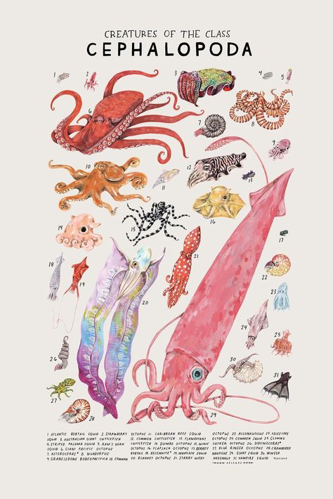 Zestaw Ikon, Scientific Illustration, Arte Sketchbook, Arte Inspo, Animal Posters, Arte Animal, Art Collage Wall, Sea Animals, Octopus