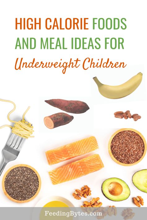 How to feed an underweight child; here are high calorie food options and meal ideas. Feeding Bytes, UK Dietitian #childnutrition #pickyeating #pickyeater #underweightchild #kidsnutrition High Calorie Foods, Meal Nutrition, High Calorie Snacks, Meal Schedule, Child Nutrition, High Calorie, Meal Options, Full Fat Yogurt, Kids Meal