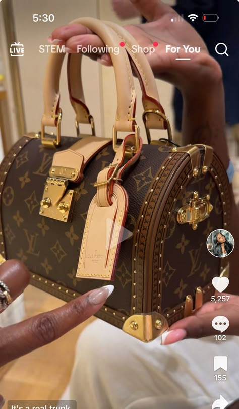 Mini Bag Louis Vuitton, Lv Bag Aesthetic, Lv Tote Bag, Sac Louis Vuitton, Designer Purses And Handbags, Trendy Purses, Luxury Bags Collection, Handbag Essentials, Womens Designer Bags