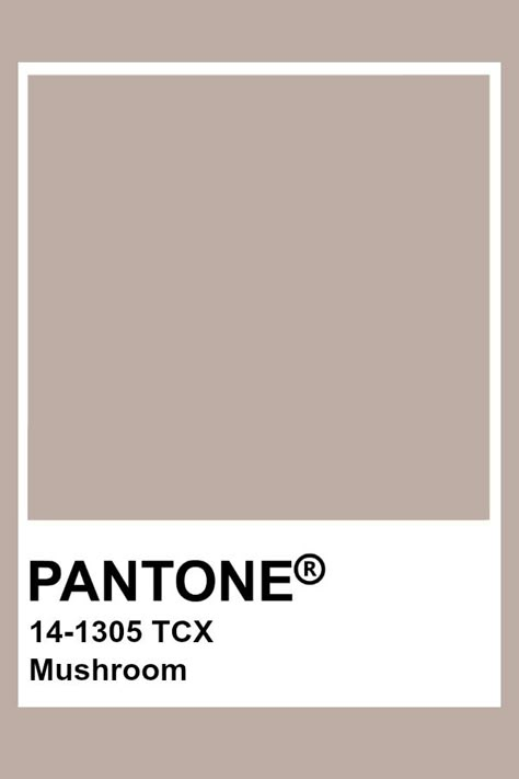 Pantone Mushroom Brown Pantone, Pantone Tcx, Pantone Color Chart, Pantone Swatches, Taupe Paint, Pantone Colours, Pantone Palette, Pantone Colour Palettes, Taupe Colour