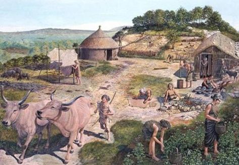 It is now known that humans were already living in permanent settlements as hunter-gatherers before the emergence of true plant and animal domestication. History Of Agriculture, Neolithic Revolution, Prehistoric Man, Early Man, Pre History, Human Evolution, Ancient Origins, Iron Age, Stone Age