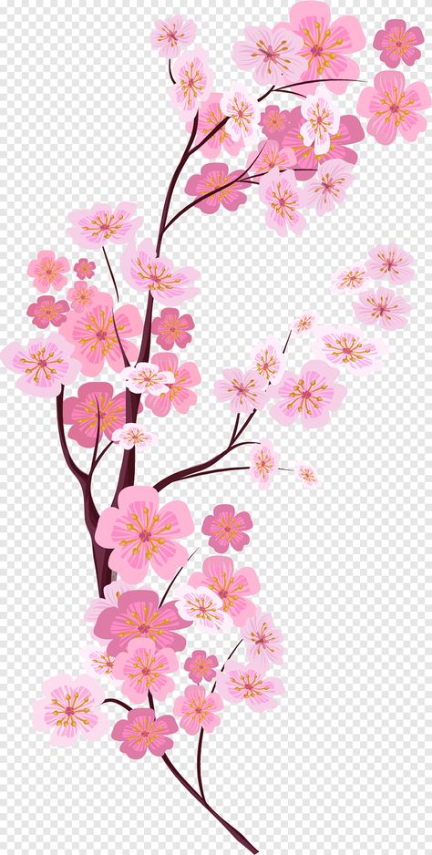 Cherry Blossom Vector, Sakura Painting, Svg Pictures, Peony Drawing, Cherry Blossom Watercolor, Blossom Cherry, Cherry Blossoms Illustration, Flower Png Images, Chinese Flower