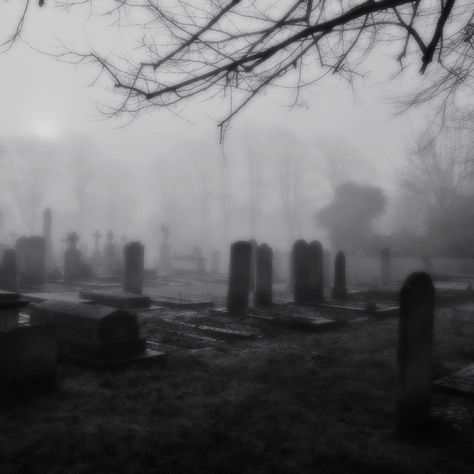 Graveyard Aesthetic Dark, Goth Places Aesthetic, Misty Graveyard Aesthetic, Abandoned Graveyard Aesthetic, Dark Graveyard Aesthetic, Grave Yard Aesthetic, Dark Foggy Aesthetic, Foggy Cemetery, Cemetery Aesthetic