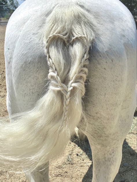 I tried this cute tail braid on Duchess! Horse Tail Hairstyle, Horse Tail Braid, Racing Hairstyles, Mane Braiding, Horse Mane Braids, Tail Hairstyles, Braiding Ideas, Horse Braiding, Horse Costume