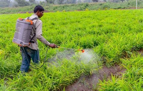 Herbicides And Pesticides, Science Collage, Pesticides For Plants, Agriculture Pictures, Green Kingdom, Flowery Meadow, Diseases Pictures, Biological Hazard, Agriculture Photos