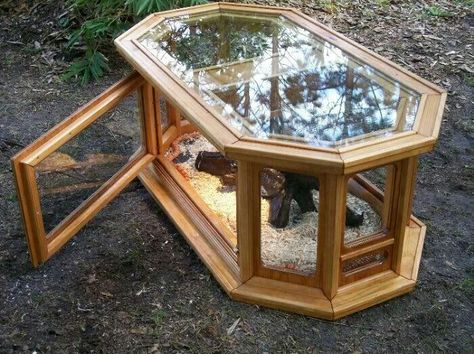 Terrarium Easy, Diy Reptile Enclosure, Diy Snake, Diy Reptile, Bearded Dragon Enclosure, Bearded Dragon Cage, Snake Enclosure, Bearded Dragon Habitat, Animal Enclosures