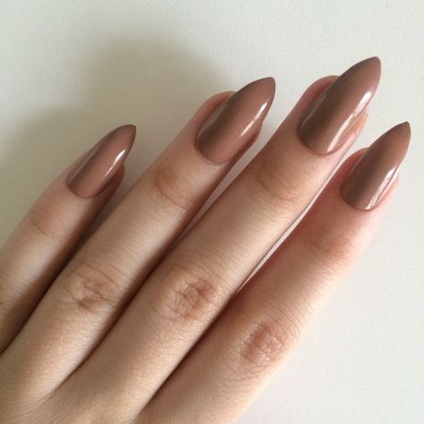 Gloss brown stiletto nails, hand painted acrylic nails, fake nails,... ($14) ❤ liked on Polyvore featuring beauty products, nail care and nail treatments Nude Stiletto Nails, Painted Acrylic Nails, Red Stiletto Nails, Nail Paint Shades, Nails Hand Painted, Nails Nail Polish, Stiletto Nails Designs, Shiny Nails, Nails Fake