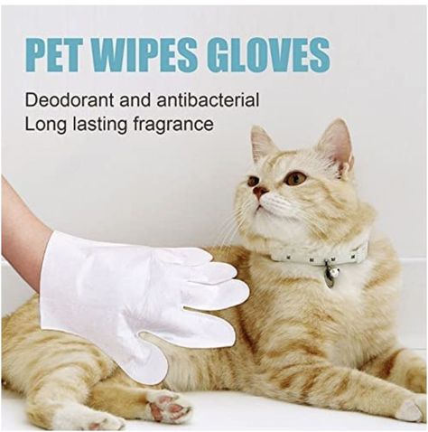 Give you pet a dry bath with these glove bath wipes. They are similar to drymax gloves brand. Easy to use and saves time. For a quick pet cleaning. Convenient pet wipes. Pet grooming. Shower gloves. Shower Gloves, Massage Gloves, Remove Pet Stains, Dog Grooming Styles, Dog Spa, Pet Wipes, Dogs Grooming, Cat Cleaning, Soft Eyes