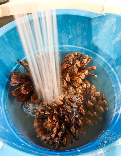 Mercury Glass Pinecones Diy, Pine Cone Cleaning, How To Wash Pinecones, Crafts Using Pine Cones Holidays, Pine Cone Snowman Craft, Clean Pine Cones For Crafts, How To Prep Pinecones For Crafts, Prepping Pinecones For Crafts, How To Dye Pinecones Red