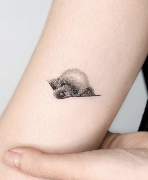 pinterest: hezzprice Tattoo For Puppy, Tiny Poodle Tattoo, Dachshund Portrait Tattoo, Mini Tats Dog, Mini Poodle Tattoo, Miniature Poodle Tattoo, Poodle Line Tattoo, Small Poodle Tattoo, Micro Dog Tattoo