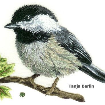 Needle Painting Kits Archives - Berlin Embroidery Designs Trish Burr, Surface Embroidery, Embroidery Animals, Bird Embroidery Pattern, Needle Painting, Embroidered Birds, Long And Short Stitch, Animals Flowers, Blossom Branch