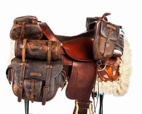 Saddle Bags Horse, Cow Boys, Real Cowboys, Saddle Accessories, Cowboy Gear, Western Saddles, Horse Equipment, Horse Gear, Horse Accessories