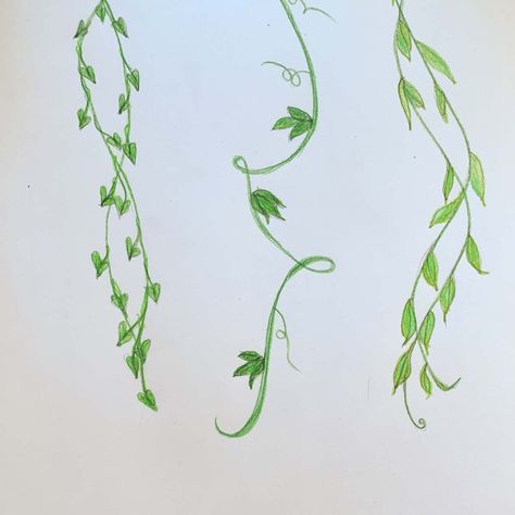 Leafs Drawings Simple, Swirly Vines Drawing, Twisting Vines Drawing, Acrylic Vines Painting, Vines With Flowers Painting, Flowers On A Vine Painting, How To Draw Vines And Flowers Step By Step, Hanging Leaves Drawing, How To Draw Vines And Leaves