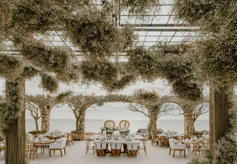 Boda Mexicana, Baby S Breath, Ceremony Arch, Mexican Wedding, Mexico Wedding, Wedding Mood, Wedding Deco, Romantic Weddings, Budget Wedding