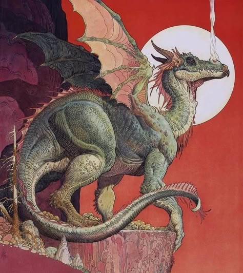 Medieval Dragon, Dragon Stuff, Here Be Dragons, Dragon Illustration, Dragon Artwork, Dragon Drawing, Fantasy Dragon, Fantasy Illustration, Dragon Art