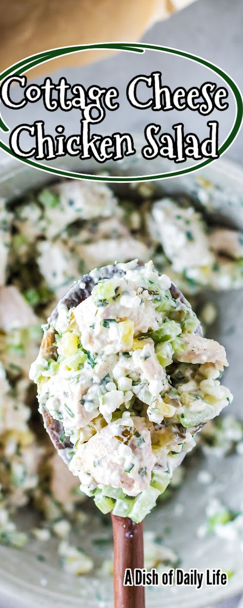 Cottage Cheese Chicken Salad is a game-changer for your lunchtime routine! It’s easy to make, is filling, tastes great, and is actually good for you too! #dishofdailylife #numstheword #cottagecheesechickensalad #chickensaladwithcottagecheese #chickensaladmadewithcottagecheese #chickensaladcottagecheese #healthychickenandcottagecheeserecipe #chickensaladrecipewithcottagecheese #cottagecheesechickensandwich #chickencottagecheesesalad #cottagecheesechicken #cottagecheesesalad Chicken Salad Made With Cottage Cheese, Chicken Salad Recipe Cottage Cheese, Egg And Chicken Salad, Cottage Cheese Coleslaw, How To Make Cottage Cheese Taste Good, Cucumber Dill Chicken Salad, Cottage Cheese And Pickles, Cottage Cheese Salad Dressing Recipes, Chicken Salad Variations