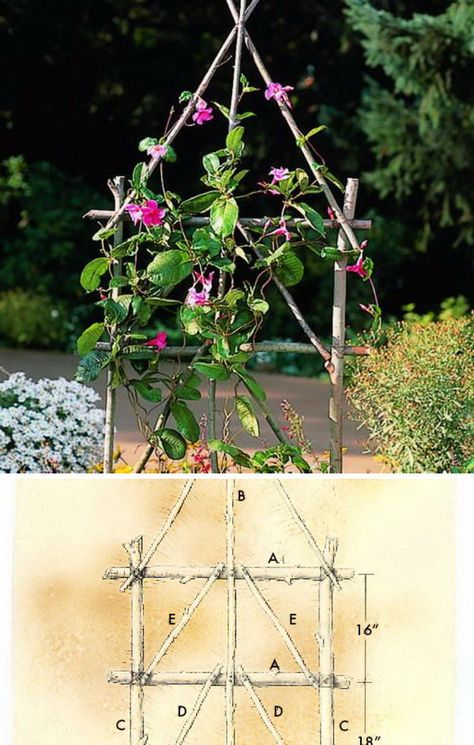 30+ DIY Trellis Ideas for Your Garden 2017 Trellis Gardening, Rustic Trellis, Vertical Vegetable Gardens, Rustic Landscaping, Diy Garden Trellis, Trellis Ideas, Bamboo Trellis, Garden Obelisk, Diy Trellis