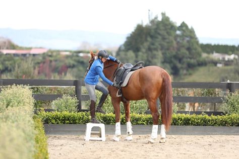 Flexibility is crucial to making mounting your horse much easier. With poor flexibility, you’re likely to struggle getting on your Breaking A Horse, Mounting A Horse, Dressage Exercises, Show Jumping Horses, Horse Lessons, Pigeon Pose, English Horse, Horse Camp, Horse Fashion