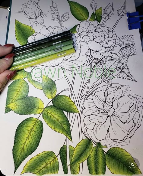 Art Color Pencil, Colored Pencil Art Projects, Art Colored Pencil, Blending Colored Pencils, Gardens Coloring Book, Color Pencil Illustration, Colored Pencil Tutorial, Prismacolor Art, Pencil Techniques