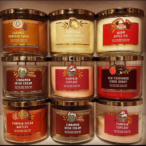 Bath And Body Works Fall Candles, Bathandbodyworks Christmas, Fall Candles Aesthetic, Candleholder Decor, Luxury Birthday Gifts, Candle Obsession, Bath N Body Works, Bath Body Works Candles, Candle Aesthetic