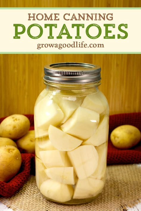 How To Can Potatoes In A Water Bath, Canning Sweet Potatoes Water Bath, Can Potatoes, Canning Potatoes, Pressure Canning Recipes, Canned Potatoes, Canning 101, Canning Fruit, Modern Homestead