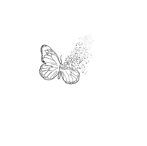 Butterfly Dust Tattoo, Butterflies Turned To Dust Tattoo, Butterfly Turning To Dust Tattoo, Butterfly Landing Tattoo, Taylor Swift Butterfly Tattoo, Butterfly Turned To Dust Tattoo, Two Paper Airplanes Flying Taylor Swift Tattoo, A Walk To Remember Butterfly Tattoo, When The Butterflies Turned To Dust