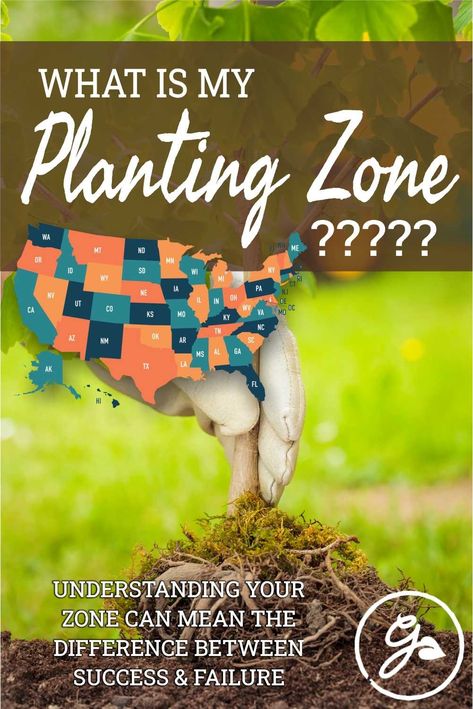 Understanding the #USDA #planting #zones you live in can mean the difference between success and failure in your garden. Planting #vegetables, #flowers and other #plants that are appropriate for your U.S. growing zone will make sure that your garden is happy and healthy year after year. Get the Know How. Usda Zones Maps, Flower Zones Map U.s. States, Zones For Gardening, What Planting Zone Am I In, Zone Planting Map, Growing Zones Map United States, What Garden Zone Am I In, Gardening Zones Map U.s. States, Plant Zones Map United States