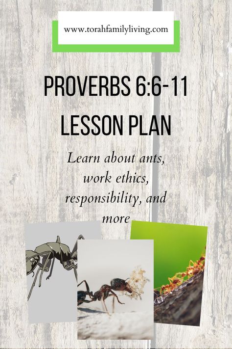 Looking for a simple way to incorporate some Scripture and simple learning into your homeschool? These worksheets and resources are just the thing. They have a verse for copywork, and some simple science or history related activities to go with the verse. I have also included links to additional coloring pages, videos, and activities that will go along with the verse. Today’s lesson is all about Proverbs 6:6-11. | homeschool, ants Scriptures For School, Proverbs For Kids, Ant Lesson, Ant Life Cycle, Job Bible, Character Lessons, Proverbs 6, Red Ant, Sabbath School