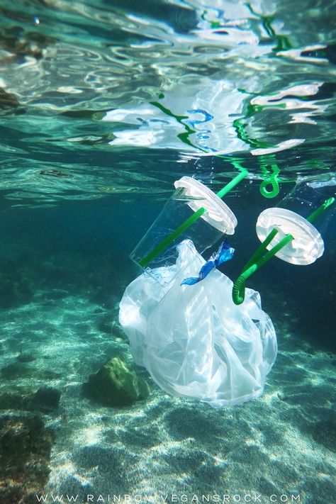 Plastic in the sea Sea Plastic Pollution, Plastic Pollution In Ocean, Ocean Pullotion, Plastic Waste Photography, Sea Pollution Art, Plastic Pollution Photography, Pollution Aesthetic, Plastic In Ocean, Plastic Underwater