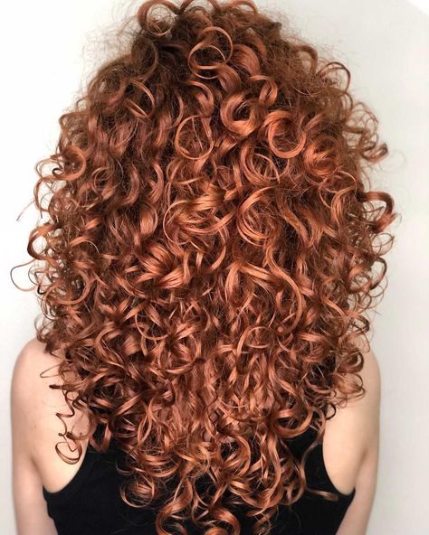 Rezo Cut, Long Hair Color Ideas, Long Layered Curly Hair, Layered Curly Haircuts, Curly Red Hair, Curly Hair Cut, Perfect Curly Hair, Long Curly Haircuts, Really Curly Hair