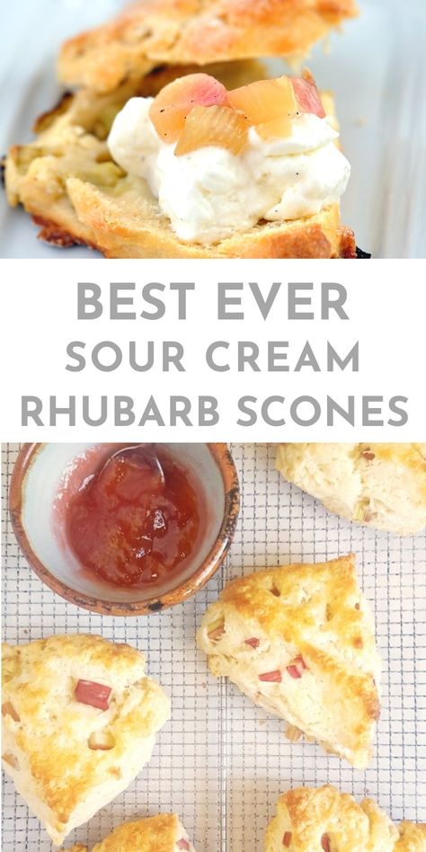 Rhubarb Sour Cream Muffins, Rhubarb Scones Sour Cream, Rhubarb Scones Buttermilk, Sourdough Rhubarb Scones, Rhubarb Biscotti, Scones With Sour Cream, Rhubarb Scones Recipe, Strawberry Rhubarb Scones, Sour Cream Scones