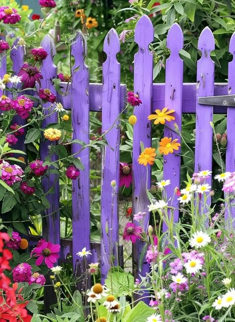 Fence Colors Painted, Colourful Garden Fence, Purple Picket Fence, Flowers On Wooden Fence, Flowers Painted On Fence Backyards, Purple Fence, Colorful Fence, Flowers Painted On Wood Fences, Backyard Herb Garden