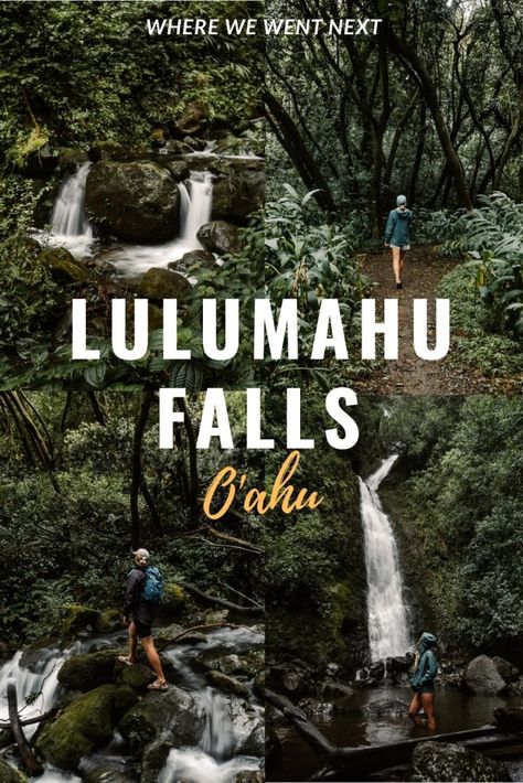 Lulumahu Falls Oahu, Hawaii Hikes, Lanikai Beach, Waterfall Hikes, Small Waterfall, Oahu Hawaii, What To Pack, The Trail, Oahu