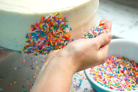 Learning how to make and decorate a sprinkle cake is easier than you think. This pro pastry chef takes you step by step, from layering the buttercream to decorating happy rainbow sprinkles allover. Your birthday cake never looked so good. Read on! . . . . . . #sprinklecake #birthdaycake #rainbowsprinkles #funfetti #funfetticake #cakerecipes #cakedecorating #rainbowcake #layercake Sprinkle Designs On Cake, How To Get Sprinkles On Side Of Cake, Cute Round Birthday Cakes, How To Apply Sprinkles To Side Of Cake, Sprinkle Cake Decoration, Smash Cake Sprinkles, Funfetti Cake Decoration, Funfetti Smash Cake, Homemade Birthday Cake Decorating