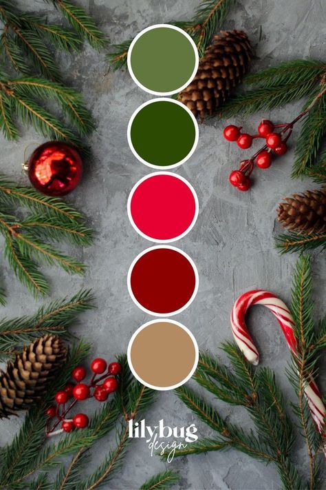 #christmas color schemes #christmas tree color schemes #christmas colors #christmas color palette #christmas tree colour scheme Color Schemes Christmas, Christmas Colour Palette, Fall Halloween Nails, Christmas Tree Color Schemes, Halloween Nails Ideas, Christmas Tree Colour Scheme, Xmas Color, Christmas Palette, Christmas Colour Schemes