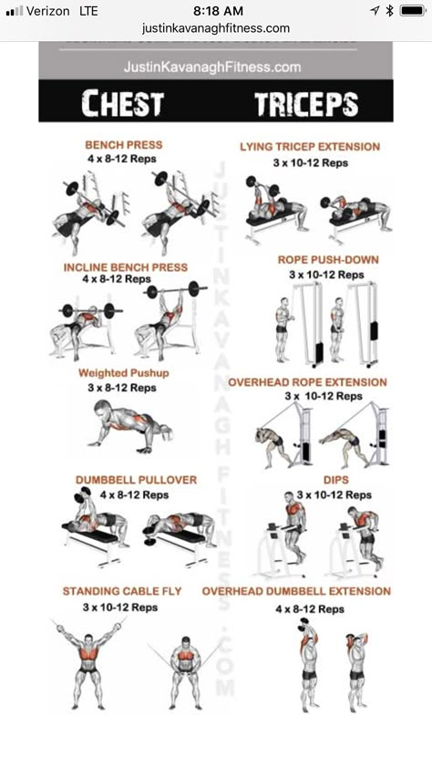 Tricep Weight Workout, Tricep Workout Mens, Bicep And Tricep Workout Men, Chest Lift Workout, Tri Workouts For Men, Bicep Tricep Workout For Men, Tricep Gym Workout, Back And Tricep Workout Gym, Chest And Arms Workout