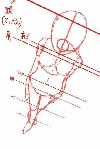 Perspective Sketch, Perspective Drawing Lessons, Anatomy Tutorial, Drawing Body Poses, Body Drawing Tutorial, Body Reference Drawing, Perspective Art, Perspective Drawing, Body Drawing