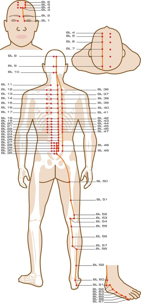 Urinary Bladder Acupuncture Points Meridian Acupuncture, Urinary Bladder, Acupuncture Benefits, Meridian Points, Energy Medicine, Acupuncture Points, Acupressure Points, Massage Techniques, Traditional Chinese Medicine