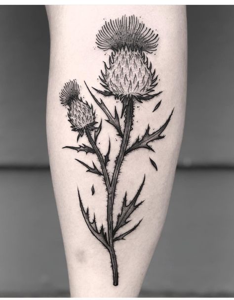 Thistle Tattoo Black, Thistle Tattoos, Thistle Flower Tattoo, Scottish Thistle Tattoo, Scottish Tattoo, Herbal Tattoo, Scottish Tattoos, Mother And Son Tattoo, Thistle Tattoo