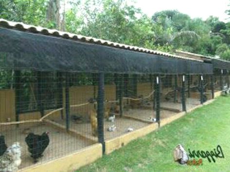 Chicken #chickenhouse Commercial Design In Pdf #designinpdf Agriculture Bird Poultry Farm Design #poultryfarmdesign Poultry Shed Design and Construction #poultrysheddesignandconstruction Plan Information Low cost poultry Shed desig Poultry farming gives us many other by products like #farming eggs and meat The eggs and chicken are the most profitable income for the rearers As chicken has How much does a poultry shed cost? #howmuchdoesapoultryshed How much does it cost to build a poultry farm Breeding Chickens Pens, Chicken Breeding Pens, Poultry Breeding Pens, Reban Ayam, Poultry Farm Design, Easy Chicken Coop, Chicken Coop Garden, Chicken Barn, Chicken Pen