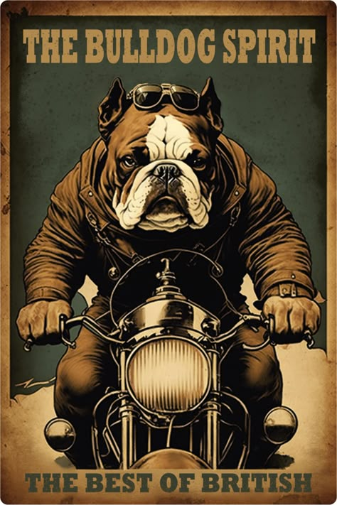 British Bulldog Tattoo, Biker Dog, Funny Bulldog, Bulldog Tattoo, Urban Logo, Bulldog Pics, Strap Bodysuit, Bulldog Funny, Bird Dog