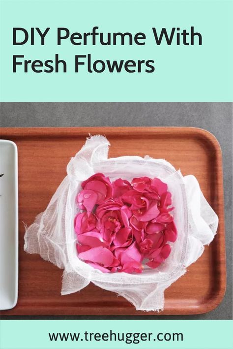 How To Make Homemade Perfume With Flowers, How To Make Your Own Perfume Oil, Making Perfume With Flowers, Flower Perfume Diy, How To Make Perfume With Flowers, How To Make Perfume Out Of Flowers, Homemade Perfume With Flowers, Rose Water Perfume, Diy Rose Perfume