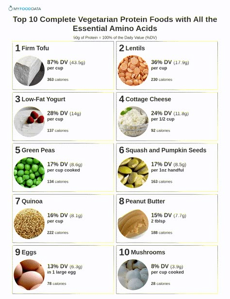 Top 10 Complete Vegetarian Protein Foods with All the Essential Amino Acids Foods High In Amino Acids, Amino Acids Food, Vegetarian Protein Recipes, Making Healthy Food, Protein Foods List, Vegetarian Supplements, No Sodium Foods, Yogurt Milk, Nutrition Chart