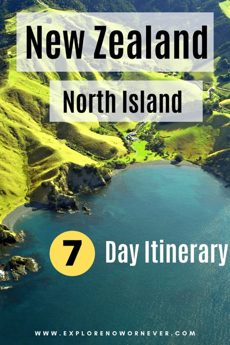 Glowworm Caves, Auckland Travel, New Zealand Road Trip, New Zealand North Island, 7 Day Itinerary, New Zealand Itinerary, North Island New Zealand, New Zealand Trip, New Zealand Travel Guide